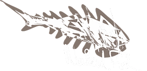 Artfish by Nakedfish Inc.